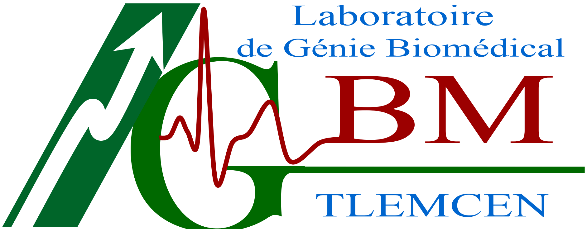 Laboratory of Biomedical Engineering